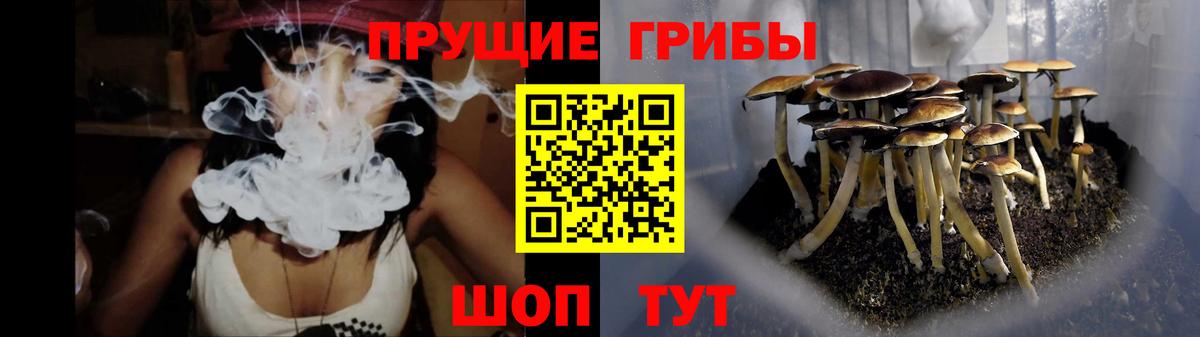 Балахна  Псилоцибиновые грибы Magic Shrooms  магазин    Вход с VPN 